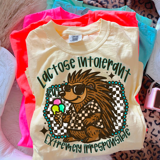 Lactose Intolerant & Irresponsible DTF